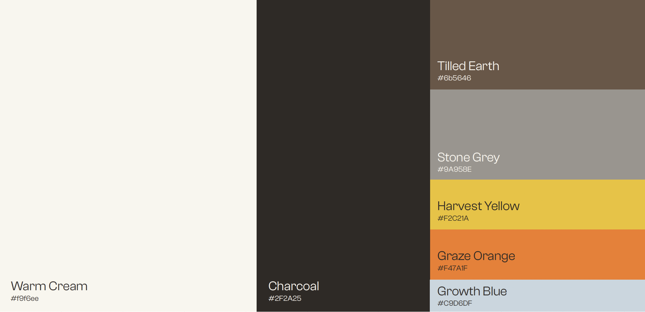 Graze color palette spread